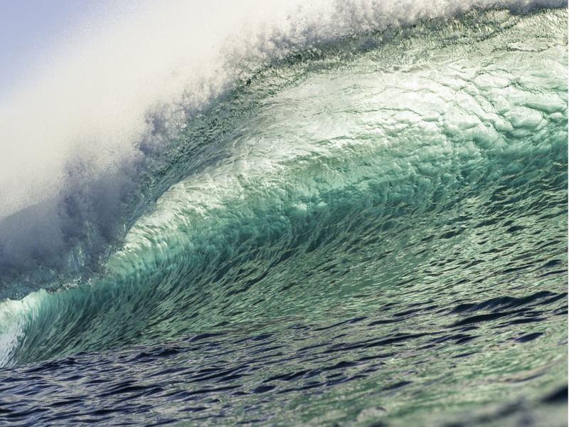 HAWAIIAN WAVE