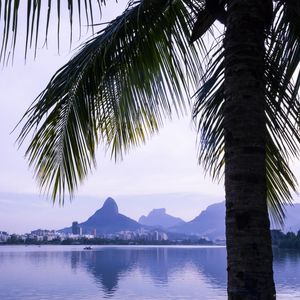 LAGOA TROPICAL