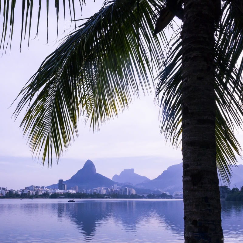 LAGOA TROPICAL