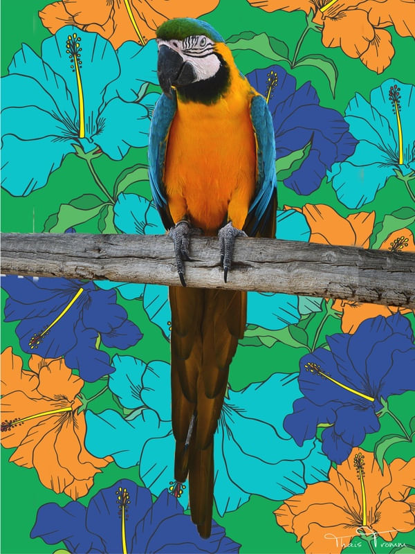 ARARA TROPICAL FLORAL 12