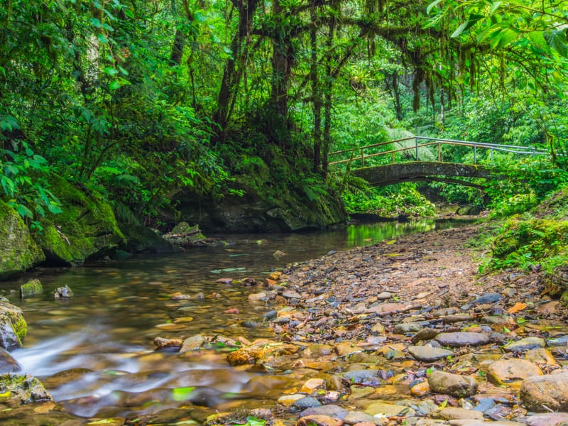 ÁGUAS DE ELDORADO