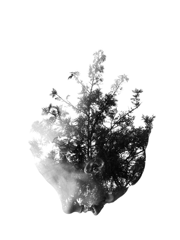 ELA É A NATUREZA - TRÊS