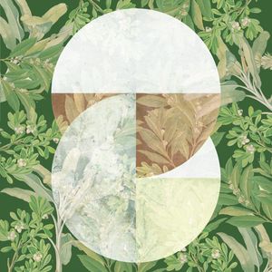 VINTAGE CIRCLES FOREST 01