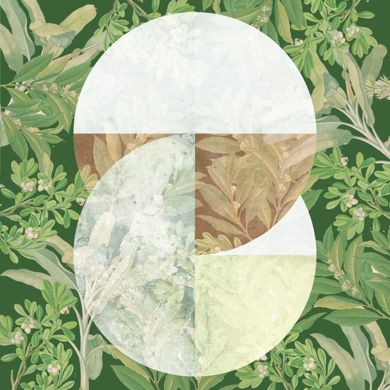 VINTAGE CIRCLES FOREST 01