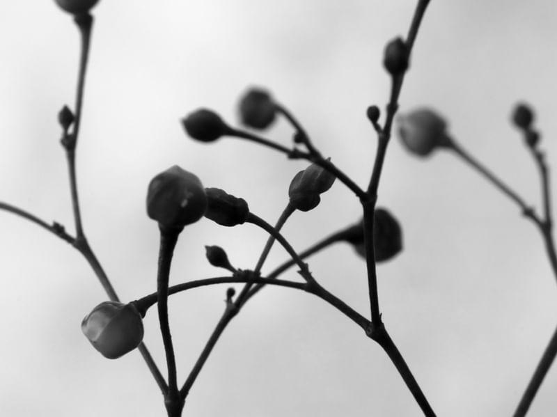 RISCOS NATURAIS_00