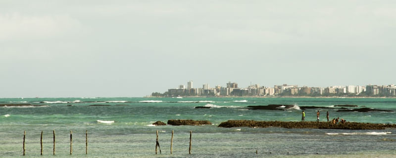 MACEIÓ, DA GARÇA TORTA