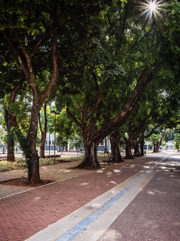 MANHÃ NA PRAÇA DE GOIÂNIA