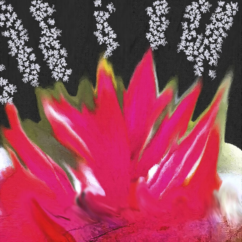QUEIMA