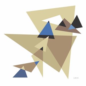 TRIANGULO AZUL 1