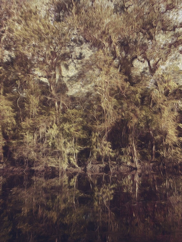 RIVER DREAMS