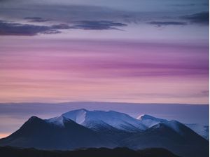 PINK SCAPE