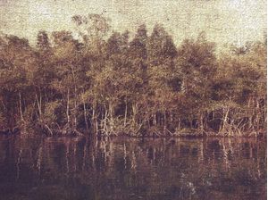 RIVER IMPRESSIONS