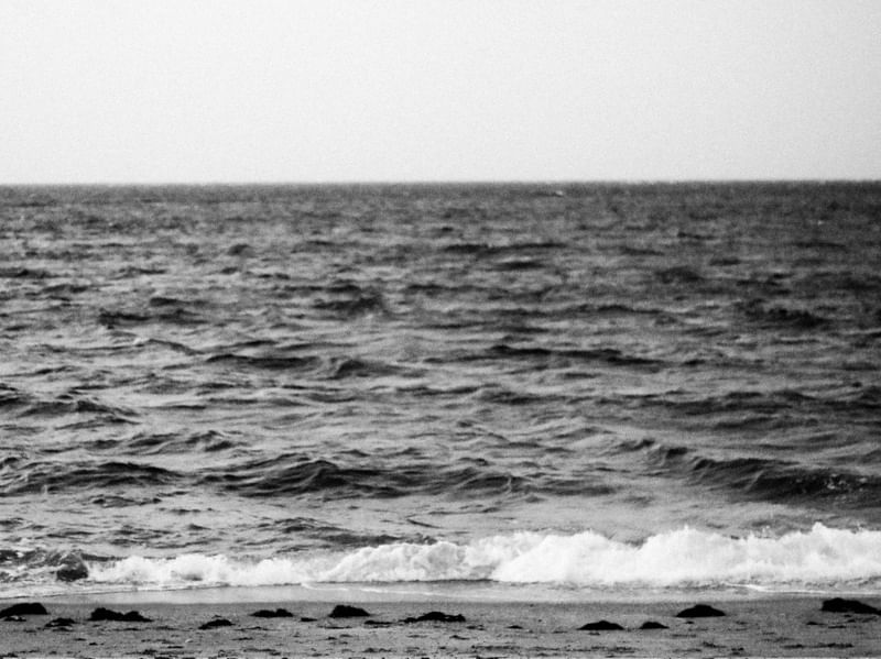 AMAR DE BARRA