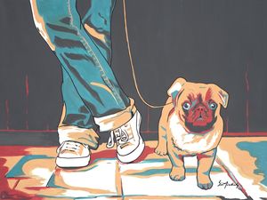 COLEÇÃO POR ONDE VÃO OS PÉS - ALL STAR PUG
