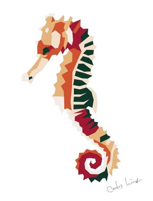 COLOR SEAHORSE