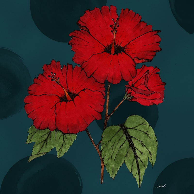 HIBISCOS NO AZUL III