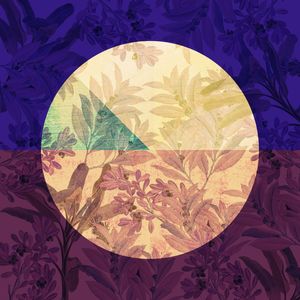 CIRCLE LEAVES 007
