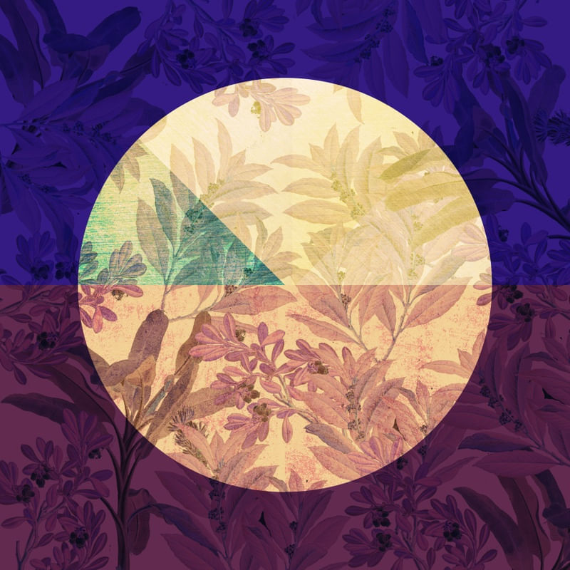 CIRCLE LEAVES 007