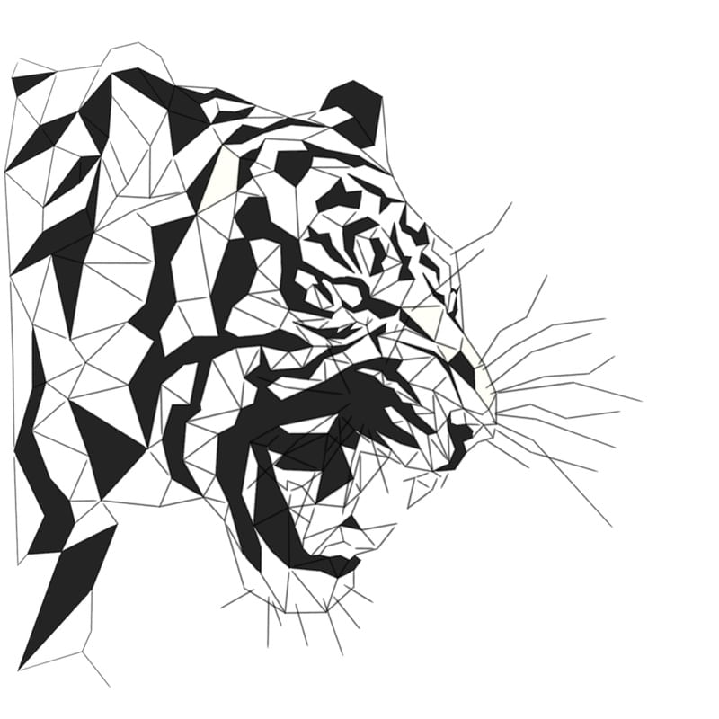 SKETCH TIGER