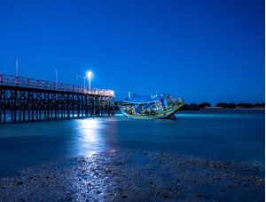 ANCORADO BLUE
