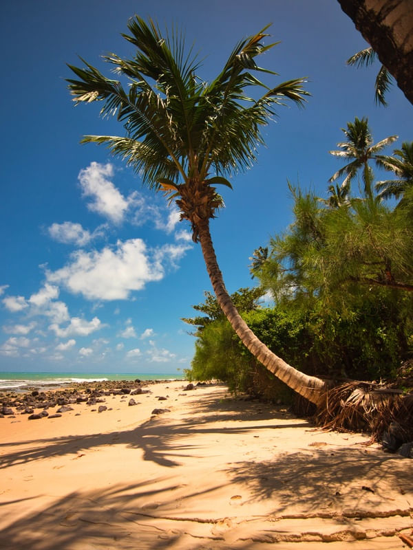 SOLITÁRIO EM TIBAU