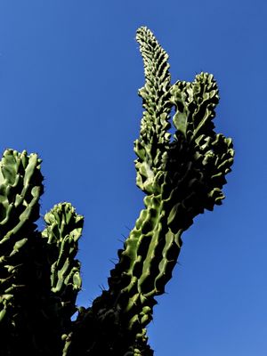 SOBRE VERDES A AZUIS