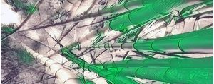 ENERGIA VERDE