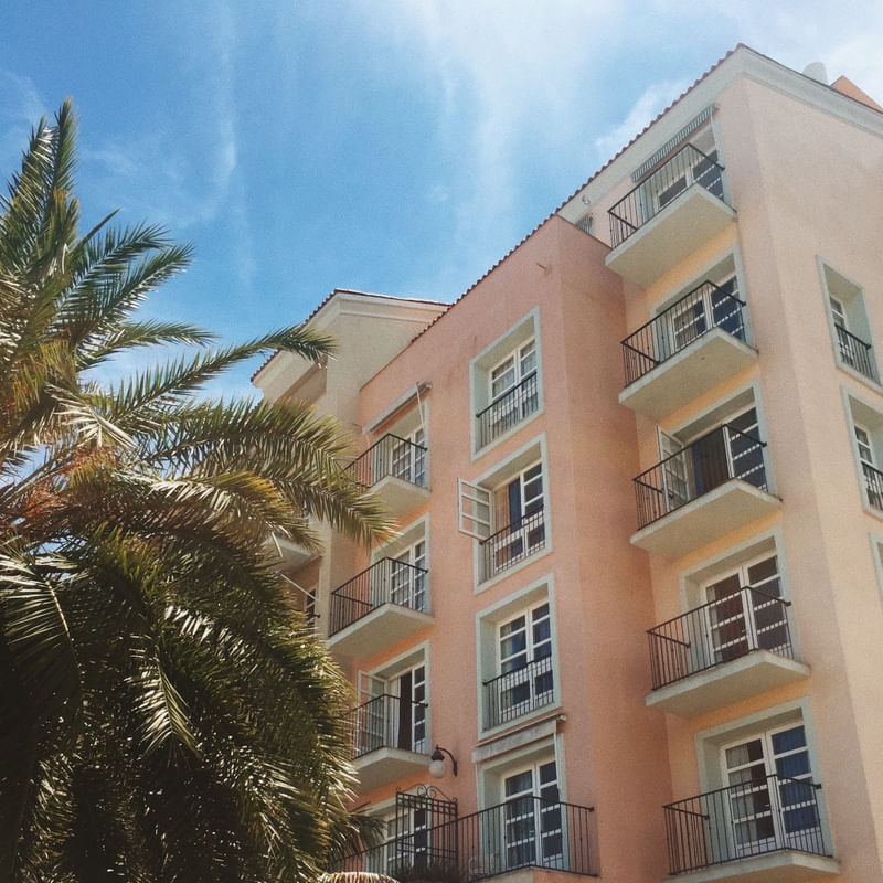 BLUE SKY AND PALM TREES