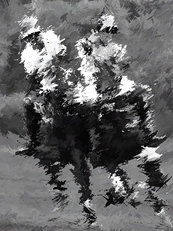 POLO ART PB