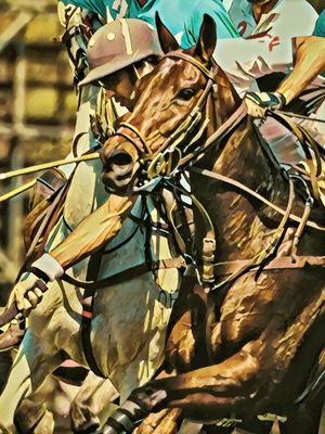 POLO ART GOLD