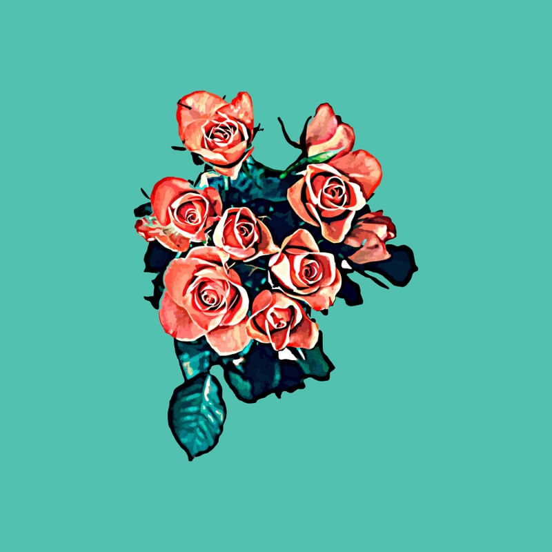 COLEÇÃO ROSAS