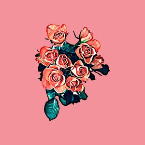 COLEÇÃO ROSA 2