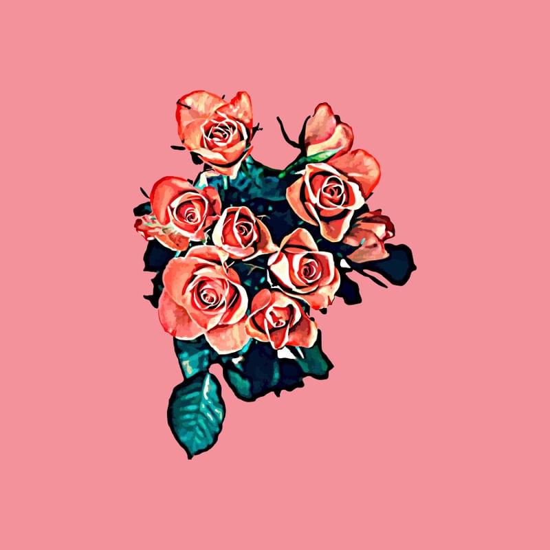 COLEÇÃO ROSA 2