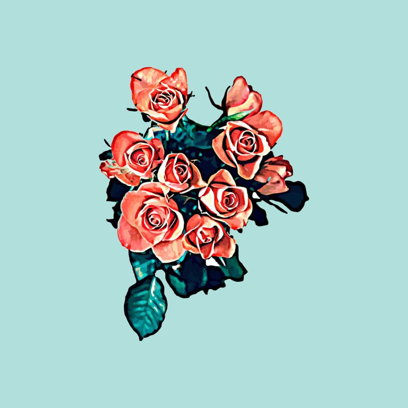 COLEÇÃO ROSA 3