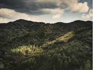 MOUNTAINLIGHT