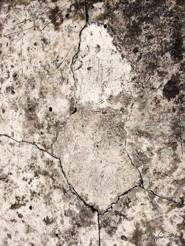 TRINCADO