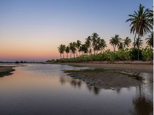 AMANHECER EM GALOS