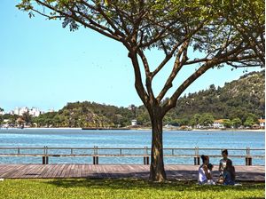 PICNIC NA SOMBRA