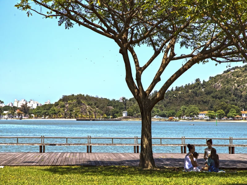 PICNIC NA SOMBRA