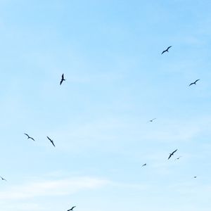 CÉU AZUL
