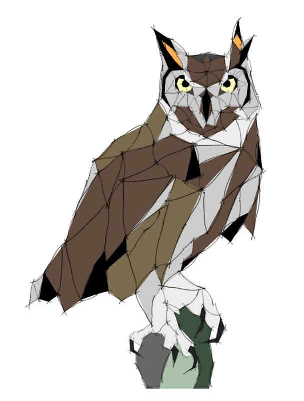 SKETCH OWL