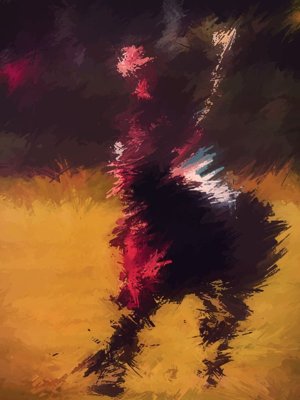 POLO ART 5