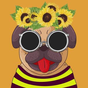 PUG FUNNY