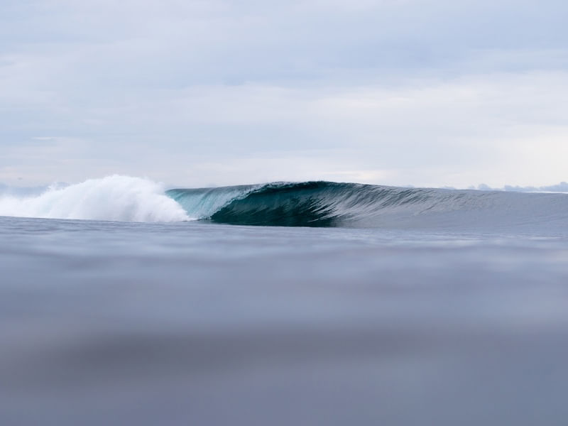 SURFER´S PARADISE