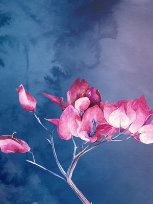 ROSABLUE