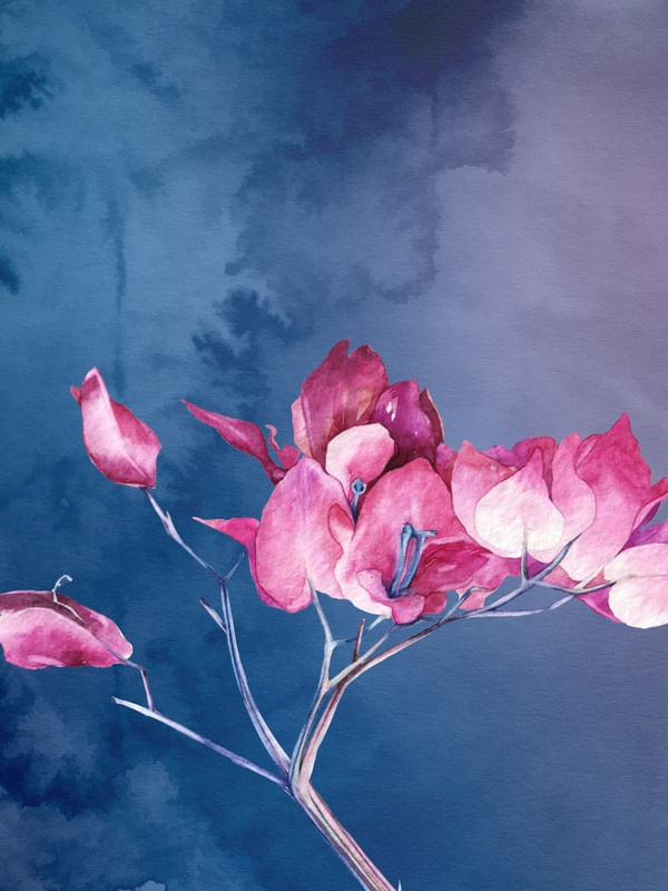 ROSABLUE