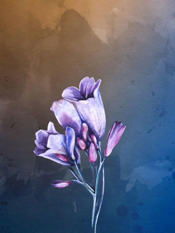 BLUEFLOR