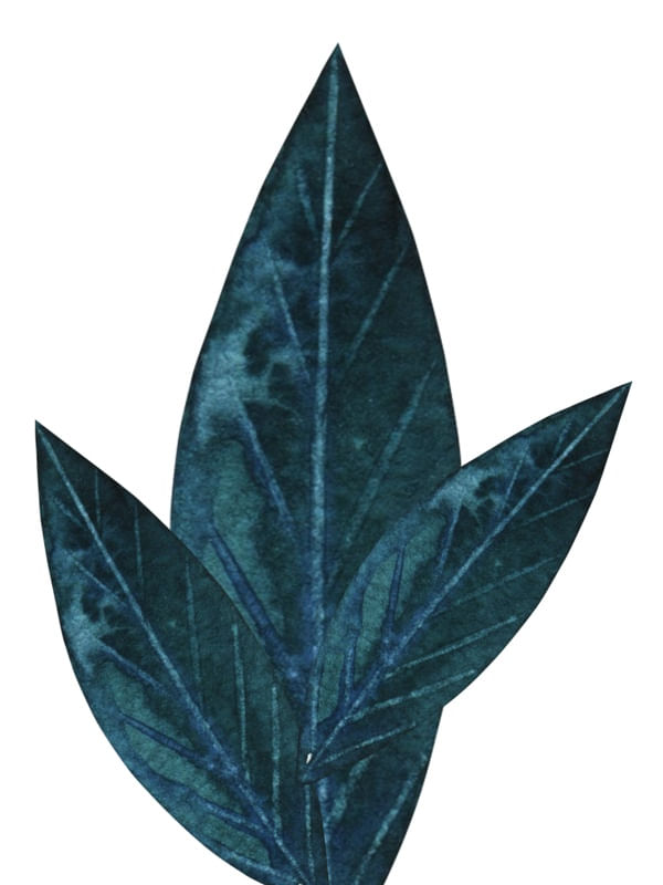 FLORMINIMALISTA 1