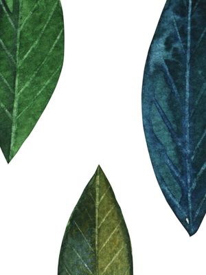 FLORMINIMALISTA 4