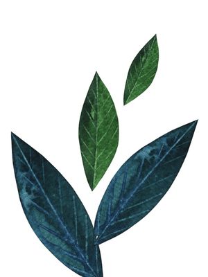 FLORMINIMALISTA 5
